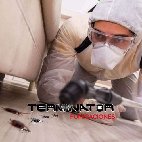 mision TERMINATOR FUMIGACIONES